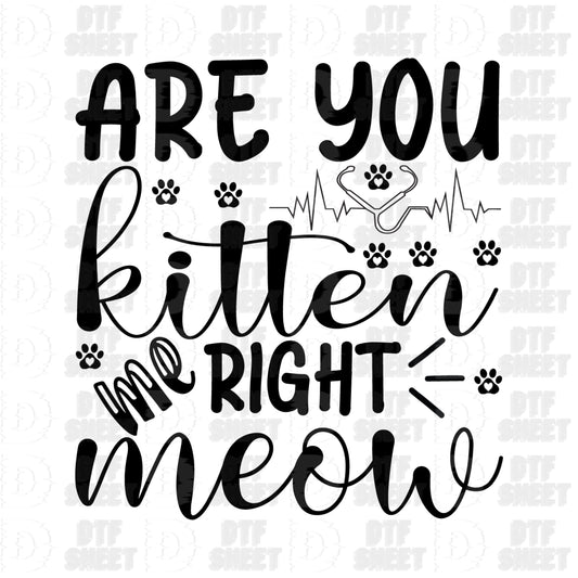 Are You Kitten Me Right Meow? - Cat Collection - DTF Transfer