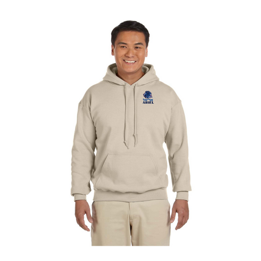 Custom Hoodie Printed by DTFSheet™