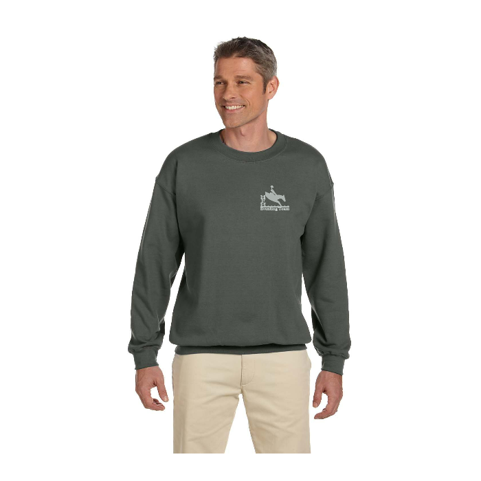 Custom Sweatshirt Printed by DTFSheet™