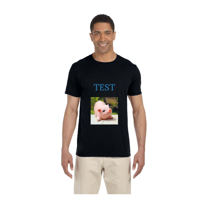 Custom T-Shirt Printed by DTFSheet™