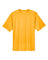 Sport Athletic Gold